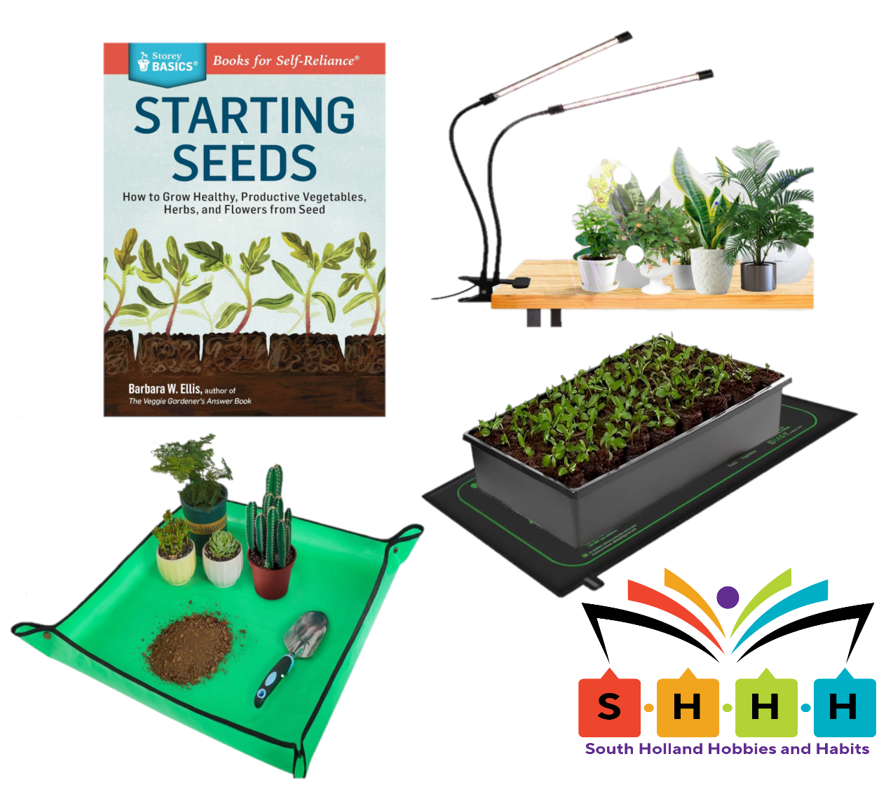 Seed Starter DIY