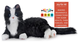 Companion Pet--Tuxedo Cat