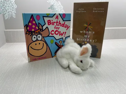 white bunny with birthday title books