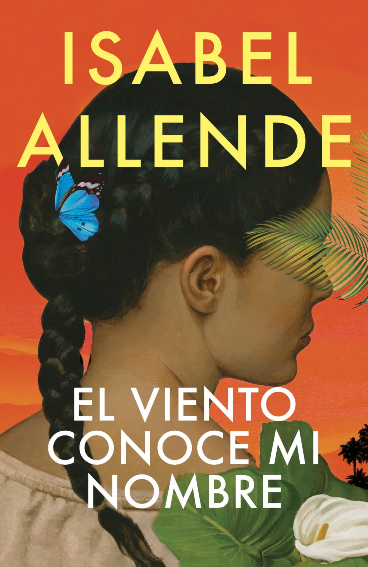 Book cover, profile of a woman with long, black braided hair.
