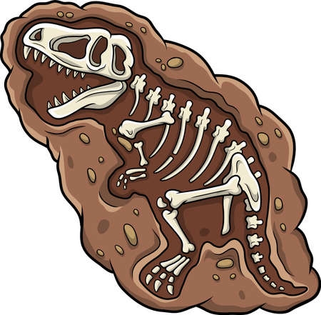 dinosaur bones unearthed and surrounded by brown dirt