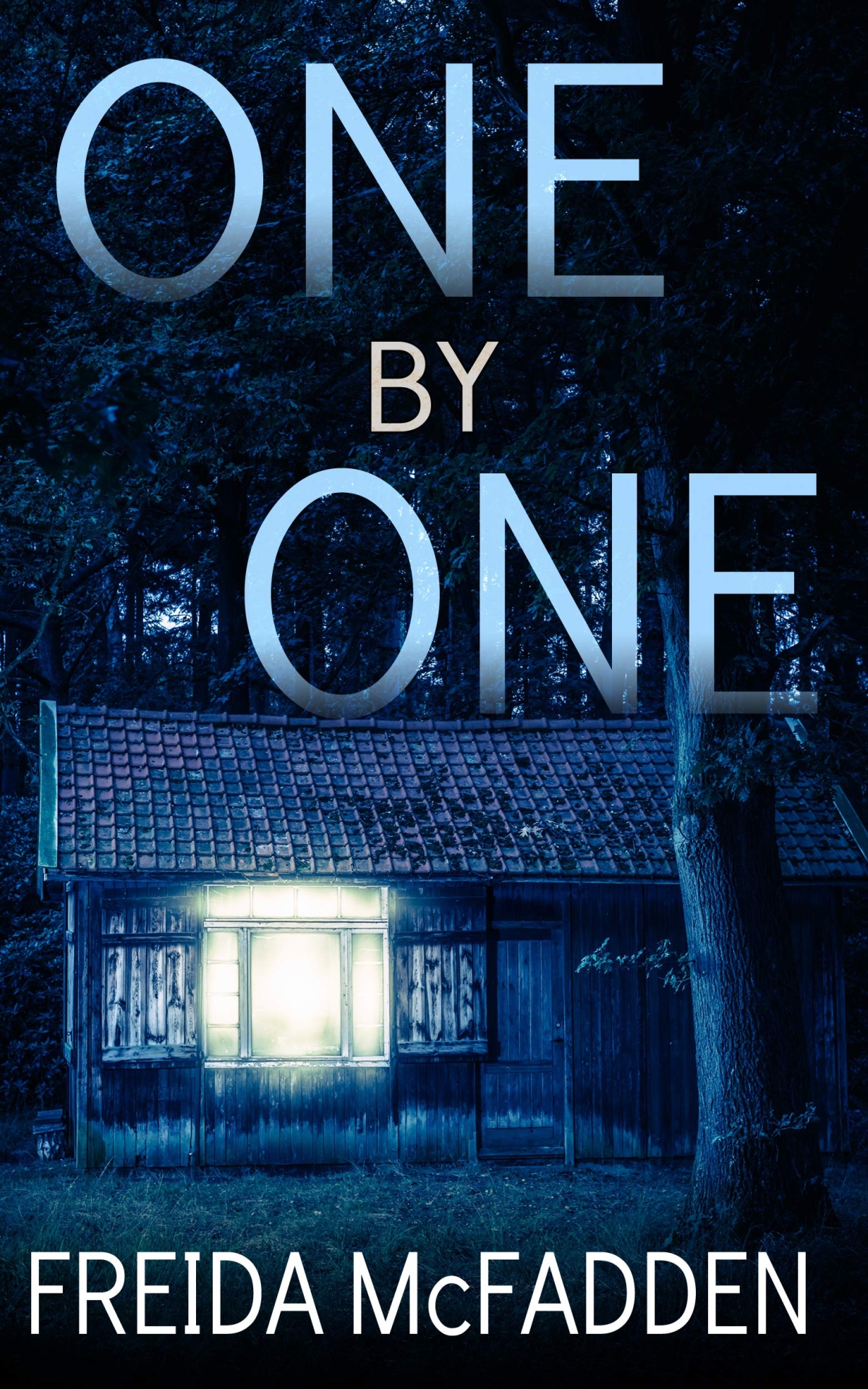 cover of Freida McFadden's book One by One